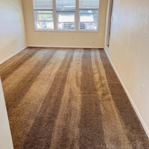 Carpet Cleaning